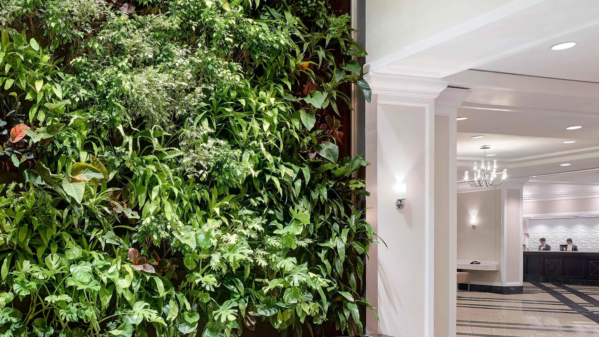 ****  Chelsea Hotel Toronto Canada