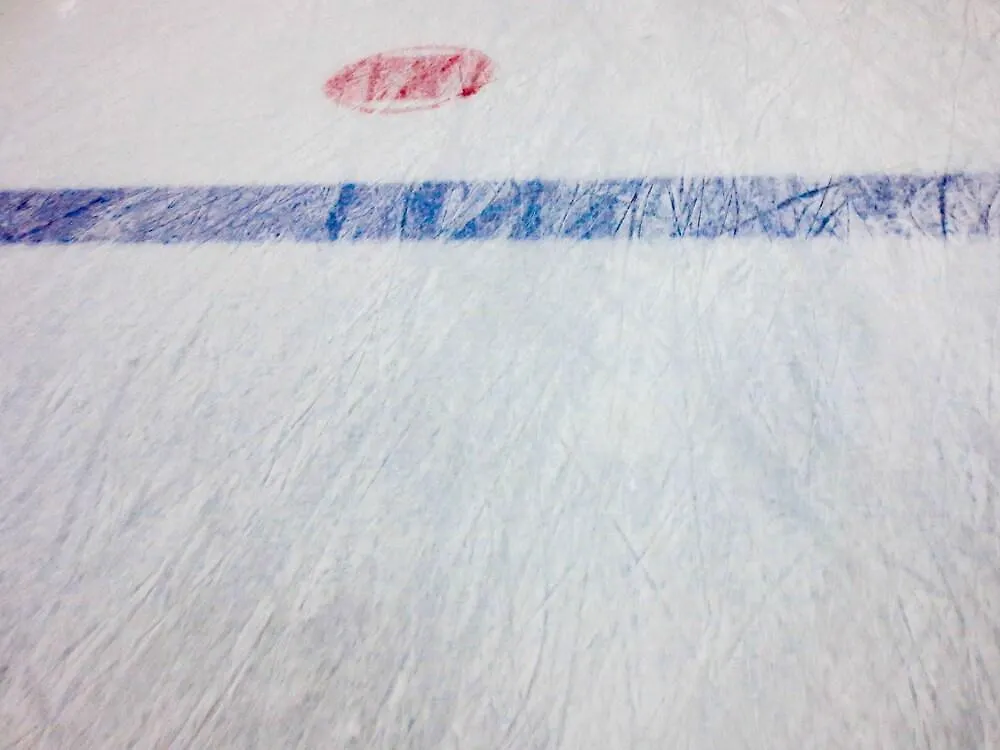 Chelsea Hotel Toronto 4*,